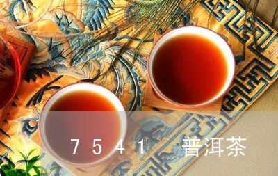 7541 普洱茶/2023031755948